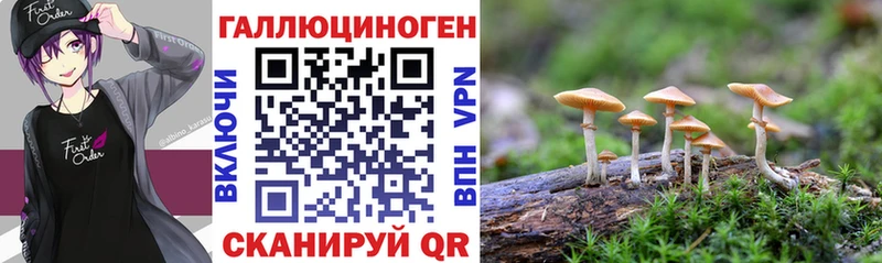 Галлюциногенные грибы Psilocybe  Купить где  Дюртюли 